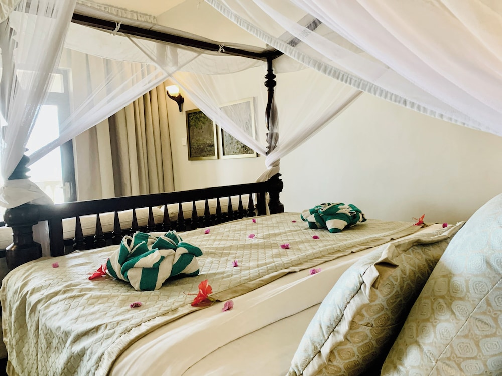 Suite Lanka 11/50