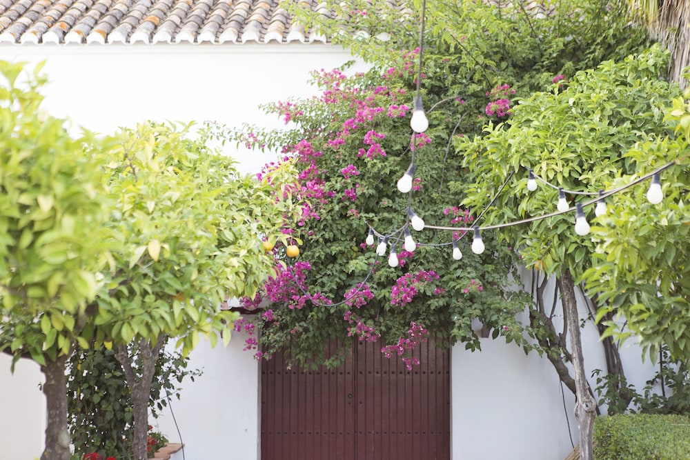 Cortijo del Arte 44/54