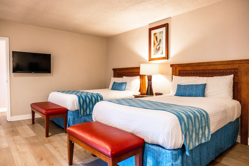 Alamo Inn Suites 29/61