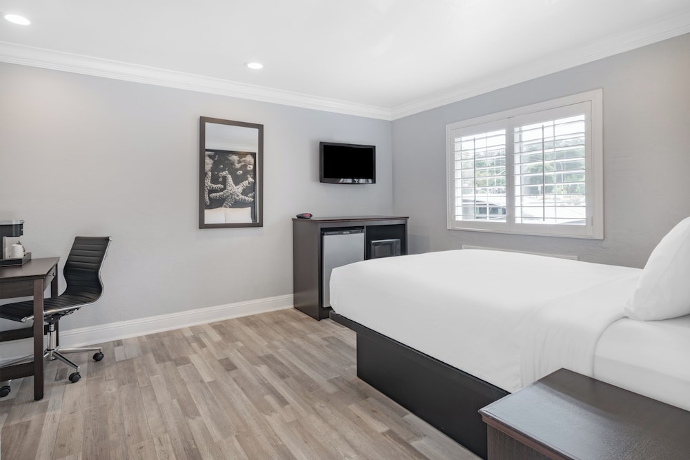 Room, Queen Bed