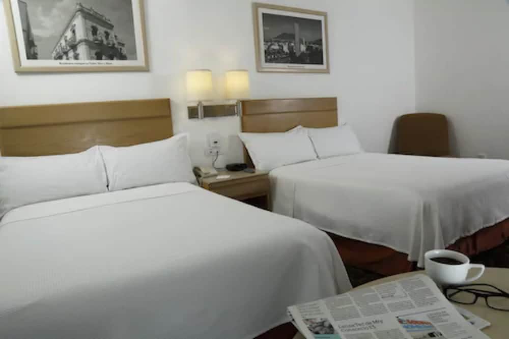 Hotel Monterrey Macroplaza 13/60