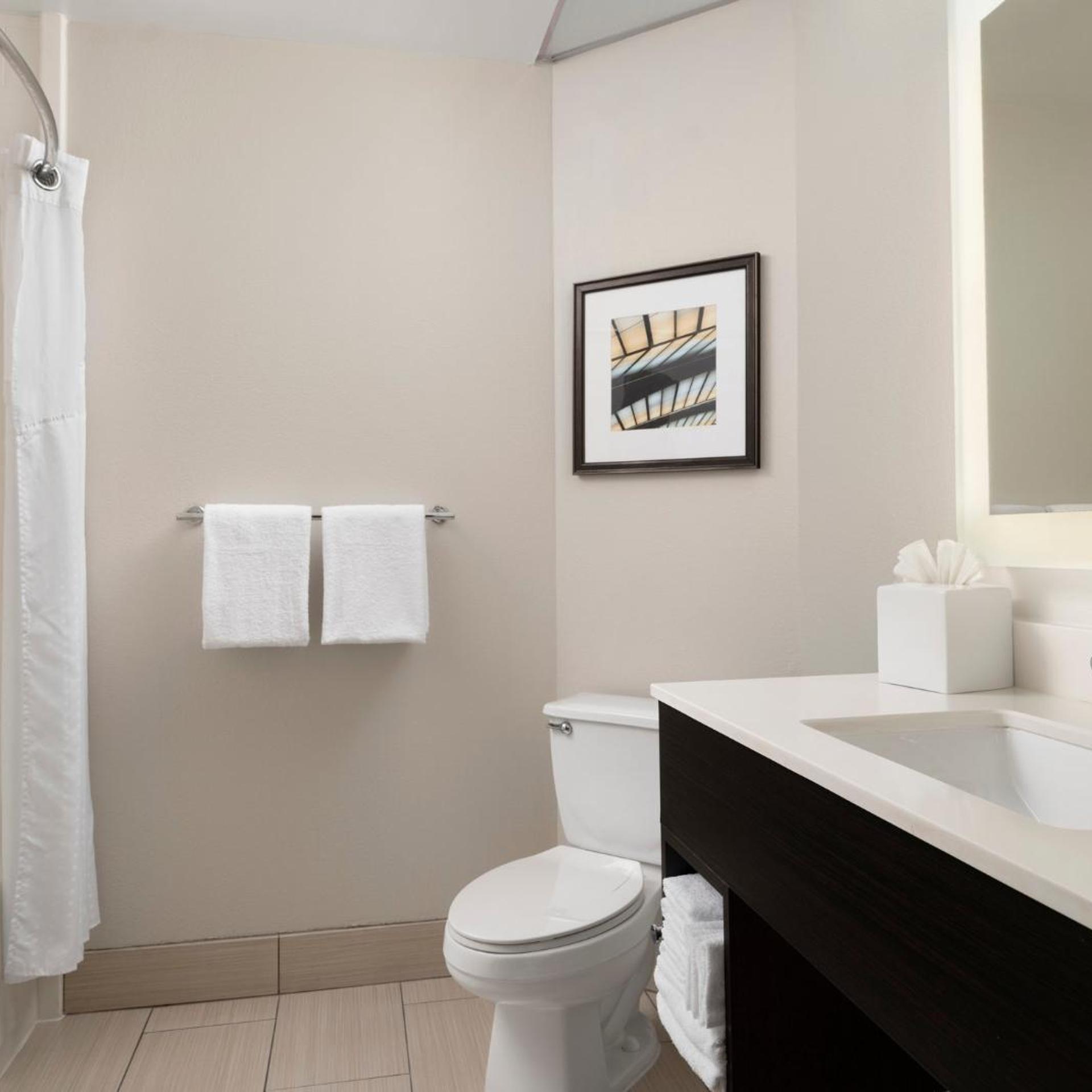 Specialty، Holiday Inn Express Hotel Amp Suites New Orleans Airport South 4/4