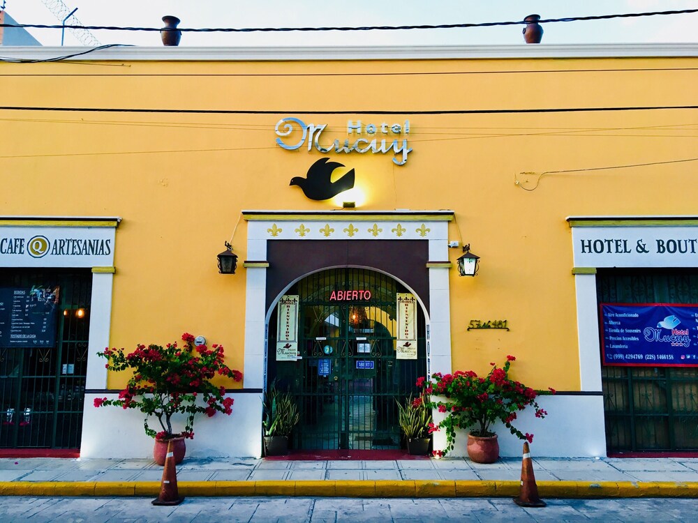 Hotel Mucuy 1/25
