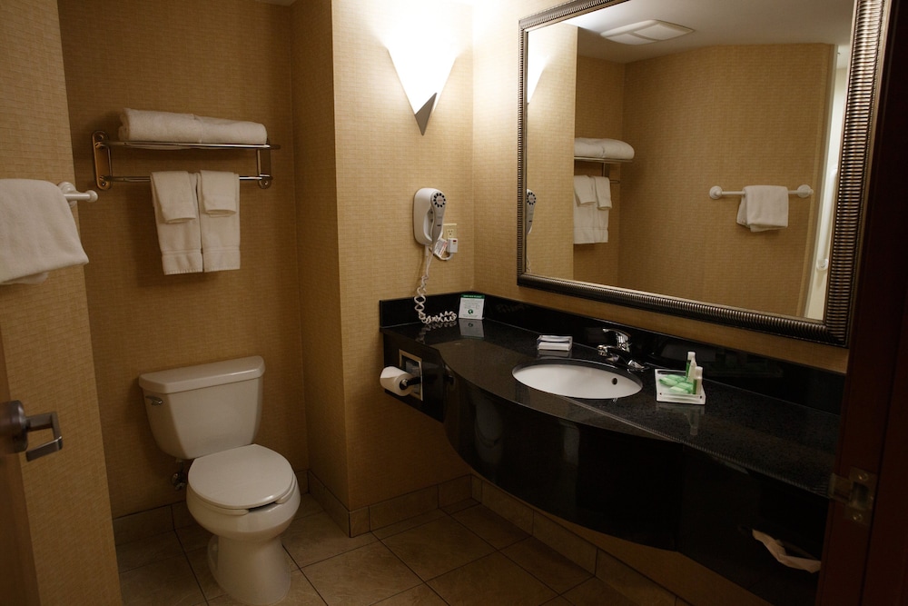 HOLIDAY INN BATTLE CREEK 10/47