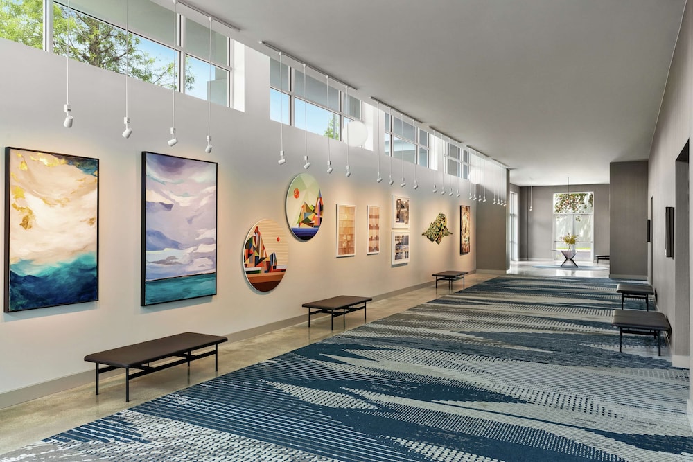 Hotel Alba Tampa Tapestry Collection By Hilton 10/64