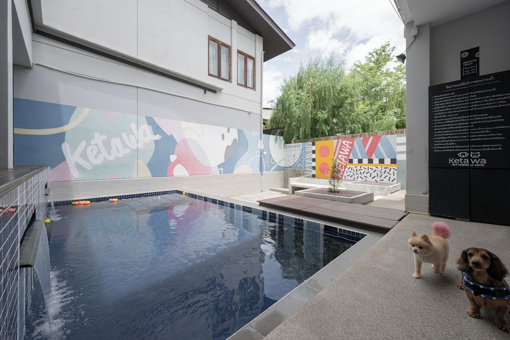 Ketawa Pet Friendly Hotel and Cafe (ex Ketawa Stylish Hotel) 17/43