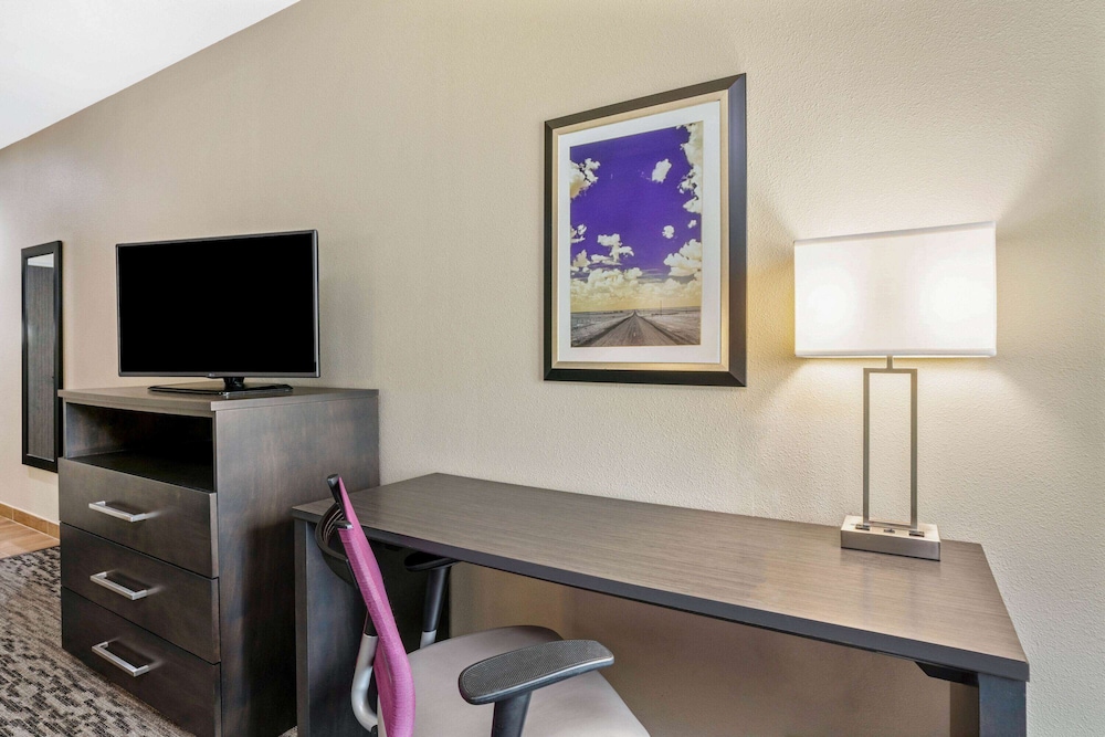 La Quinta Inn & Suites by Wyndham College Station South 48/64