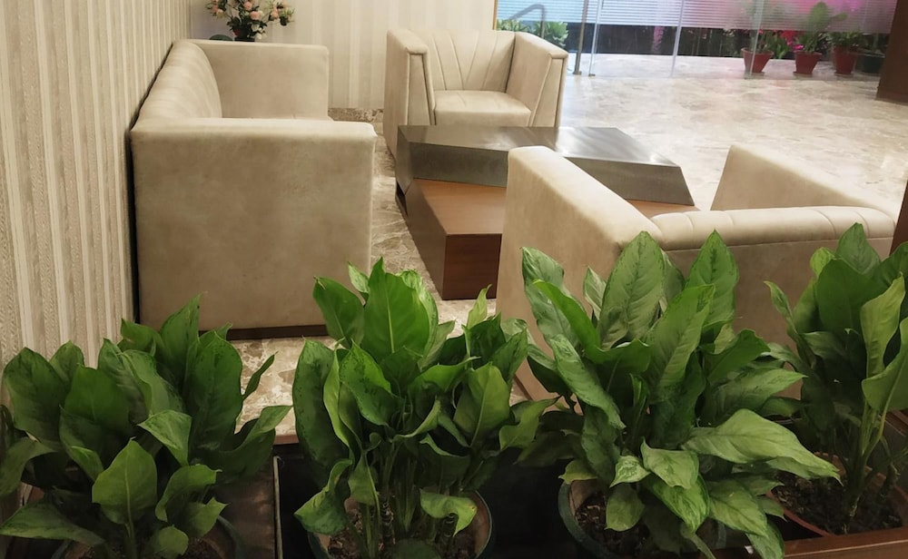 Hotel Shagun Zirakpur 48/50