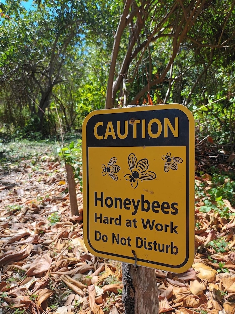 Firefly Plantation Bequia 9/50