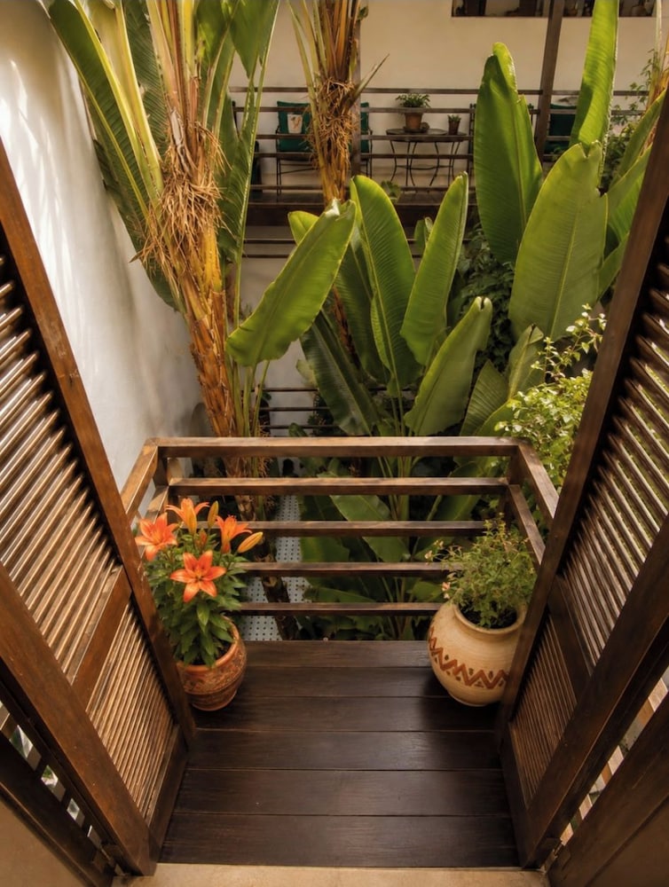 Riad El Maâti 31/66