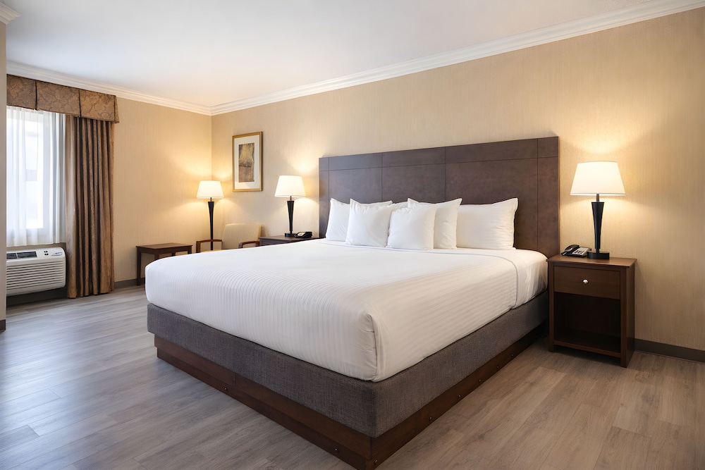 غرفة قياسية بسرير كينج، Best Western Davison Inn 5/10