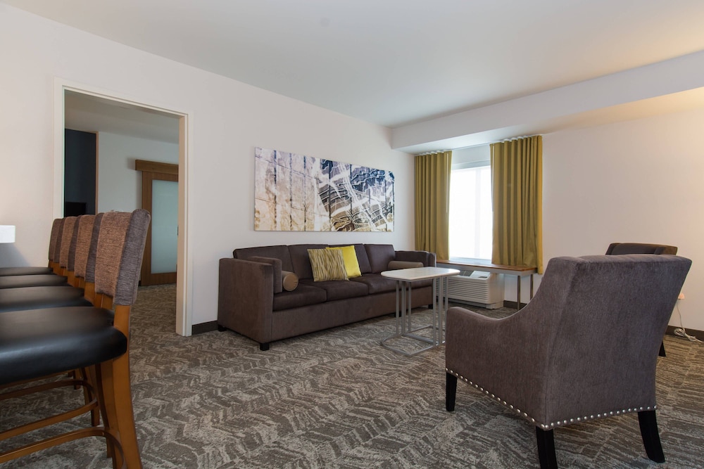 SpringHill Suites by Marriott Charlotte Ballantyne 31/52