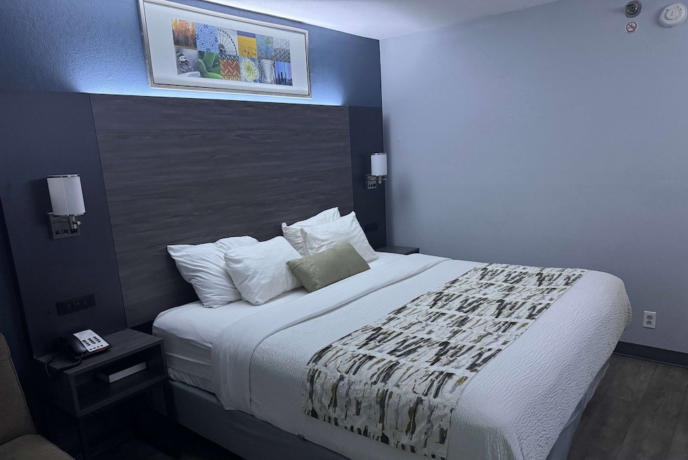 ROOM, KING BED, ACCESSIBLE