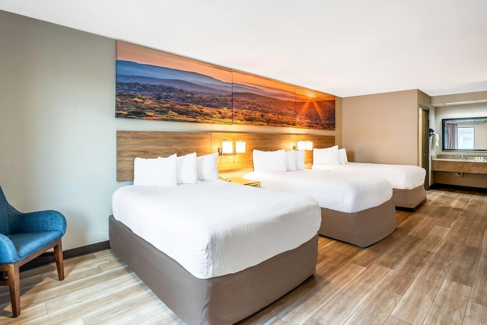 Days Inn By Wyndham Bainbridge 15/39