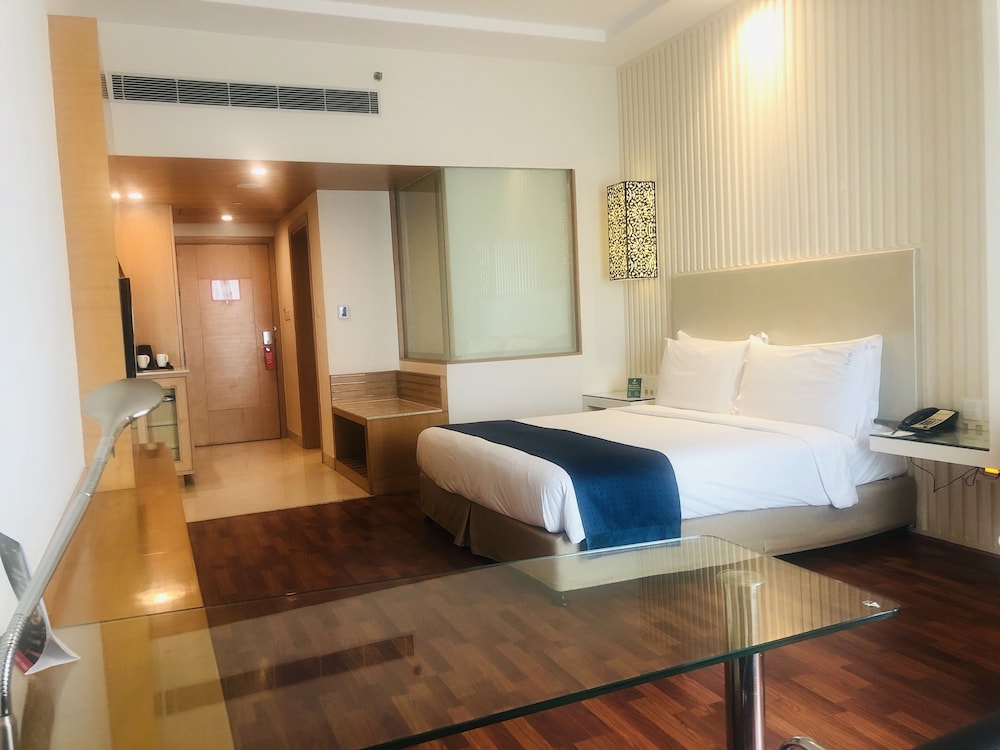 HOLIDAY INN AMRITSAR RANJIT AVENUE 12/44