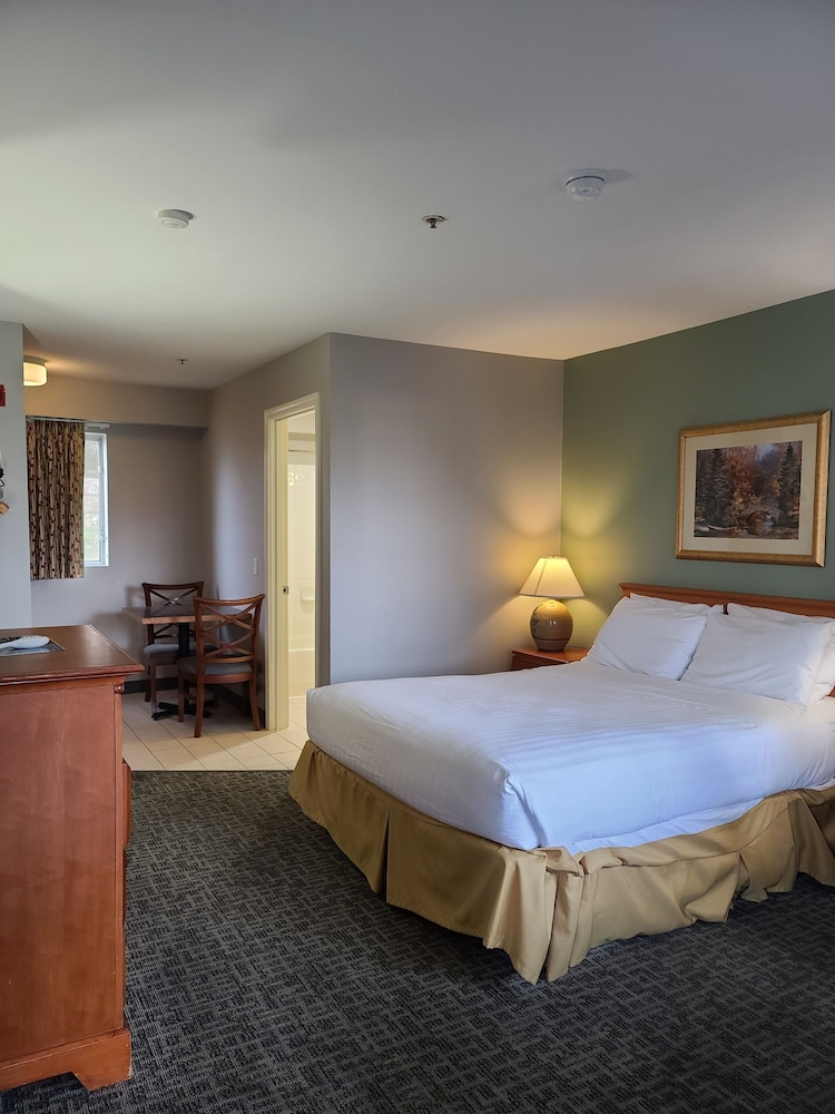 Tulip Inn 7/32