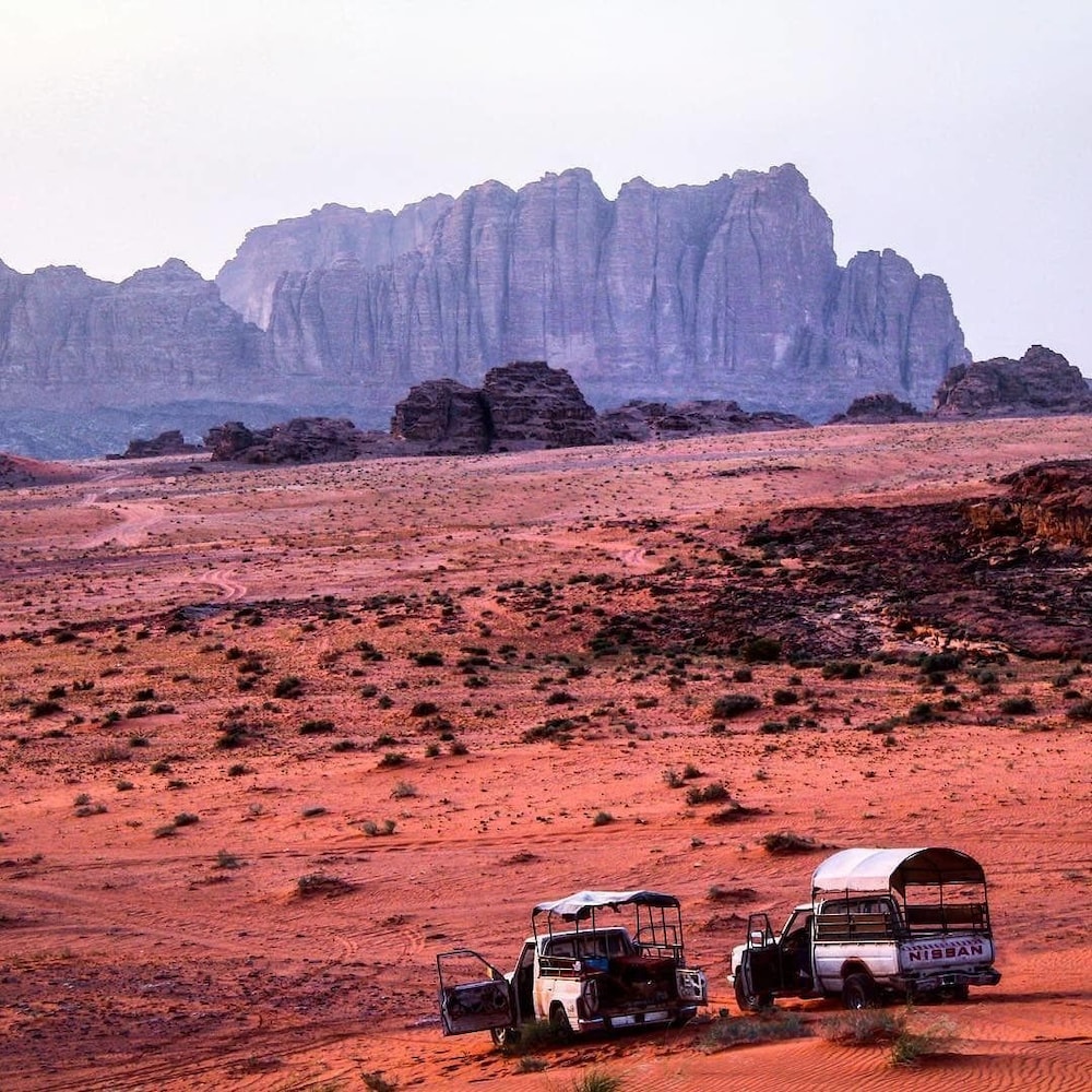 Desert Lovers Camp 34/48
