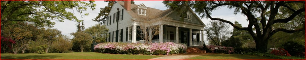 The Burn Bed And Breakfast 3/50