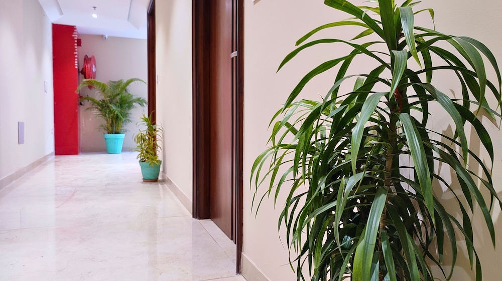 MGR Hotel Moradabad 14/50