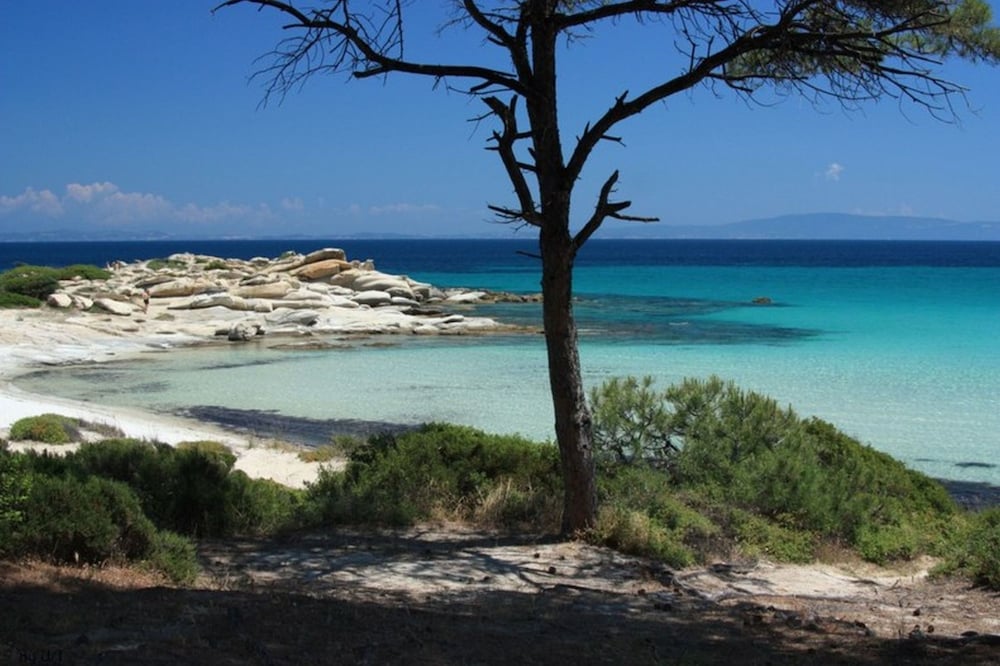 Finikas Garden Beach Resort Nikiti 32/50