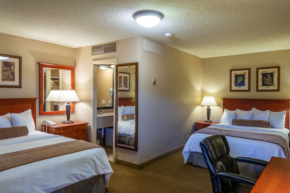 Best Western Vista Inn At The Airport 16/47