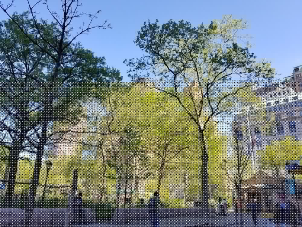 Hilton Garden Inn NYC Financial Center/Manhattan Downtown 23/40