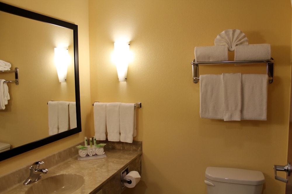 Holiday Inn Express & Suites Harrisburg W - Mechanicsburg 47/65