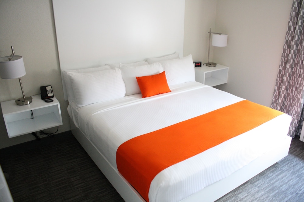 Suite, King Bed