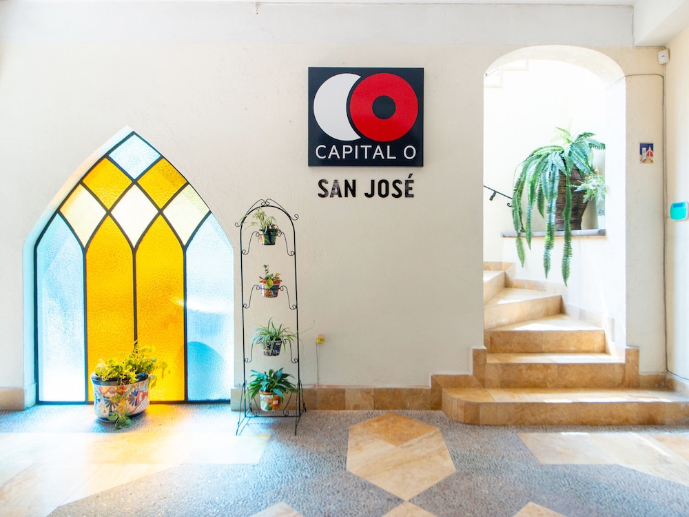 Capital O酒店San Jose, San Luis Potosi(Capital O Hotel San Jose, San Luis Potosi) 图片5