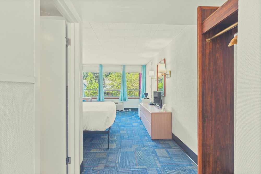 Stardust Motel Wallace 65/65