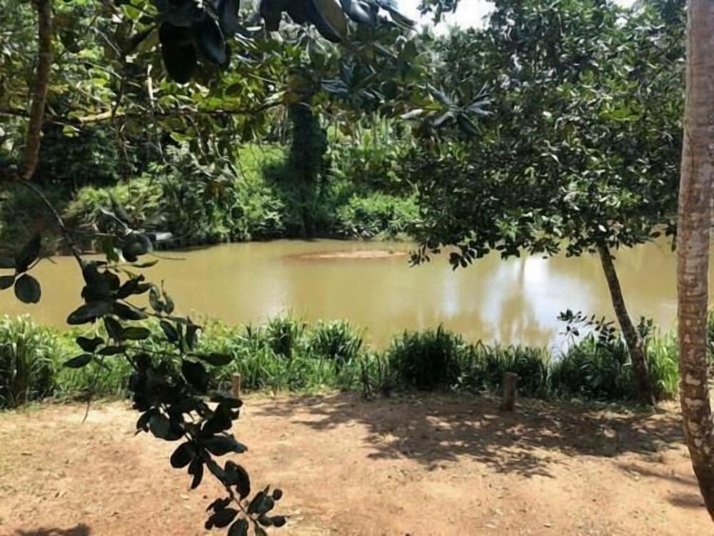 Sinharaja Rainforest View Villas 29/50