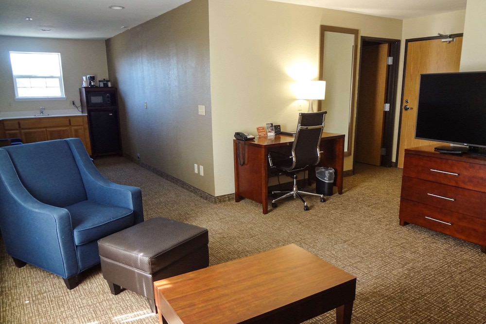 Comfort Suites Downtown Sacramento 31/47
