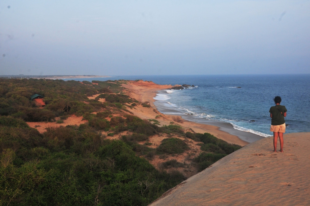 Back Of Beyond Dune Camp - Yala 20/48