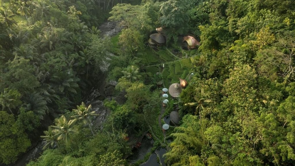 Bambu Indah Resort 44/50
