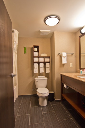 Hampton Inn Columbus South 43/45