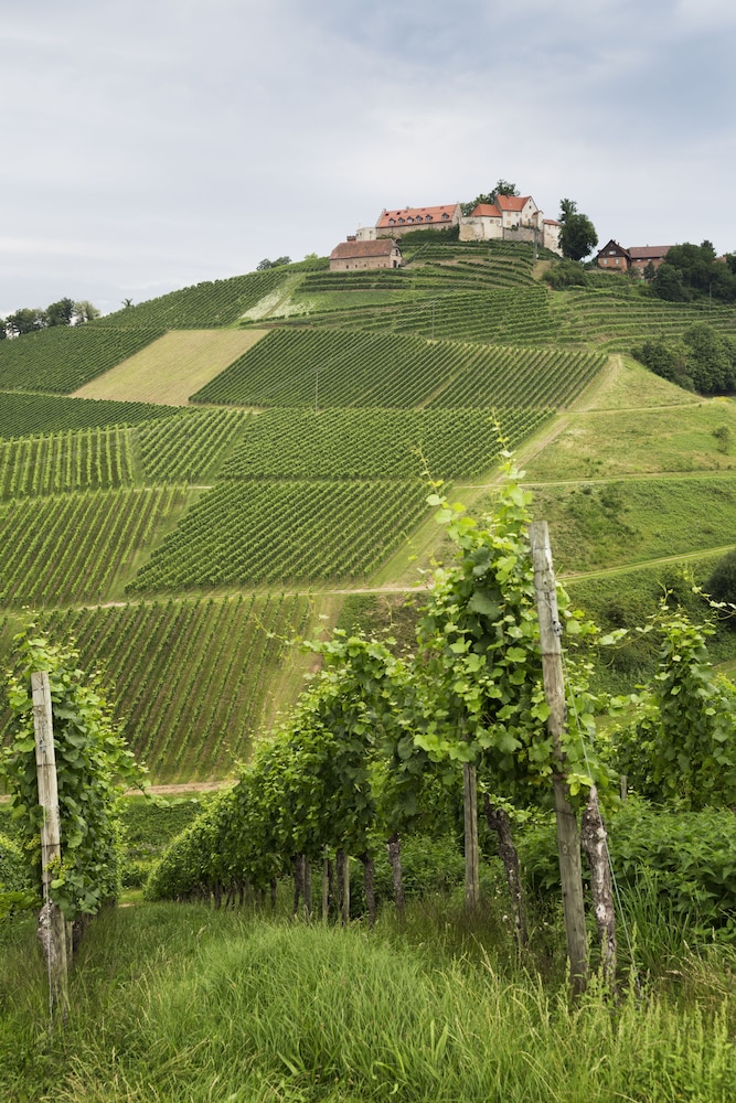 Ibis Budget Pouilly En Auxois 45/46