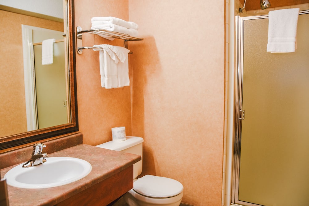 Stony Plain Inn & Suites 15/44