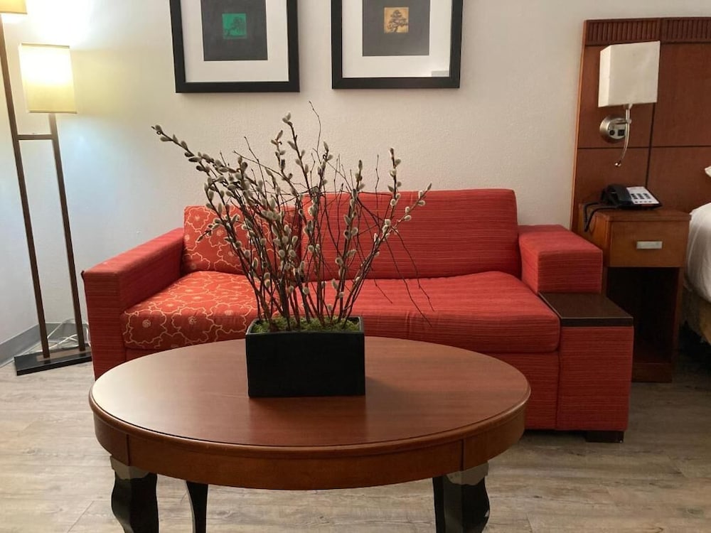 ECONO LODGE AND SUITES(Orange - TX) 32/53
