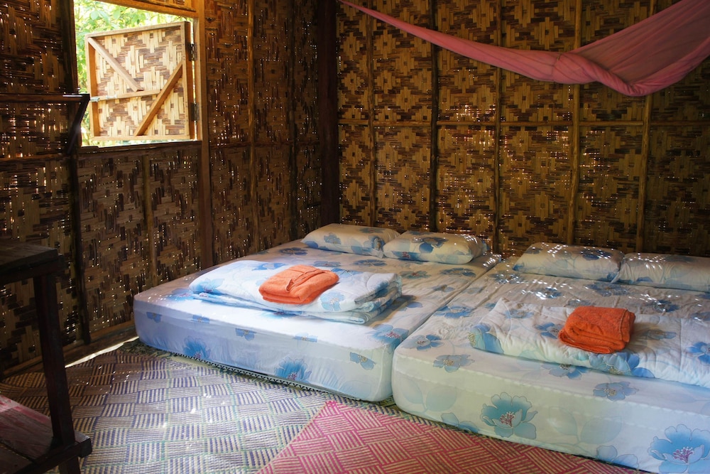 Rain Forest Inn 23/66