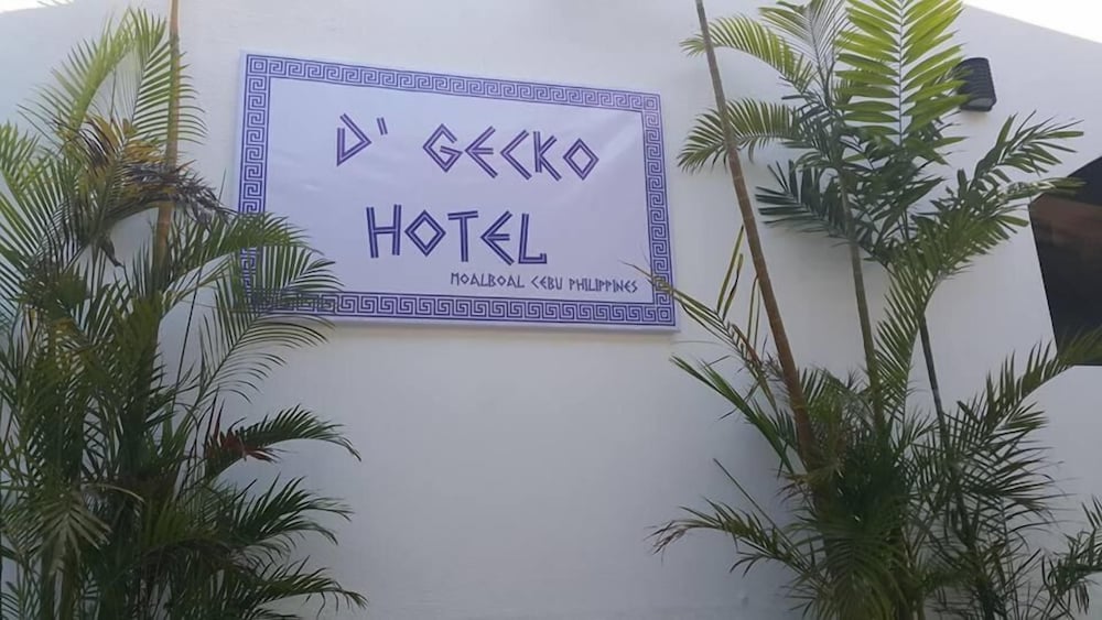D' Gecko Hotel 5/54