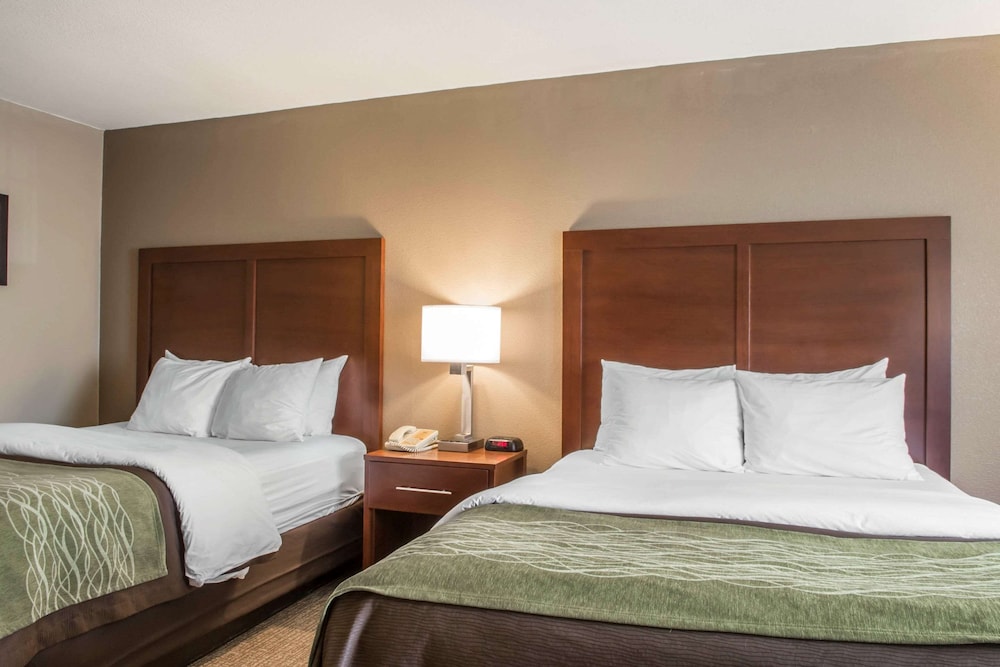 Comfort Inn Edinburg South Texas 8/46