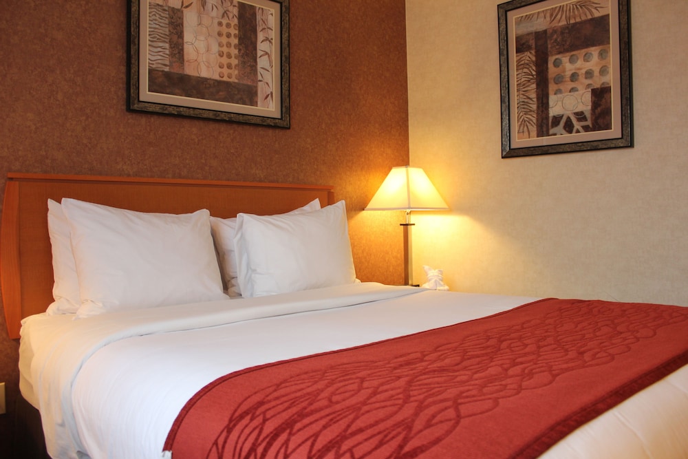 Comfort Inn Bellerose 22/46
