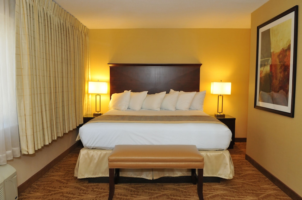 Kahler Inn and Suites - Mayo Clinic Area 20/60