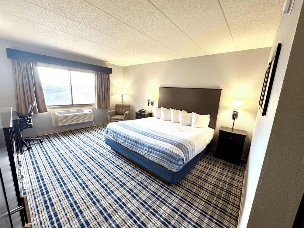 Room, King Bed, Accessible