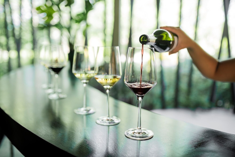 Entre Cielos Wine & Wellness Hotel 28/69