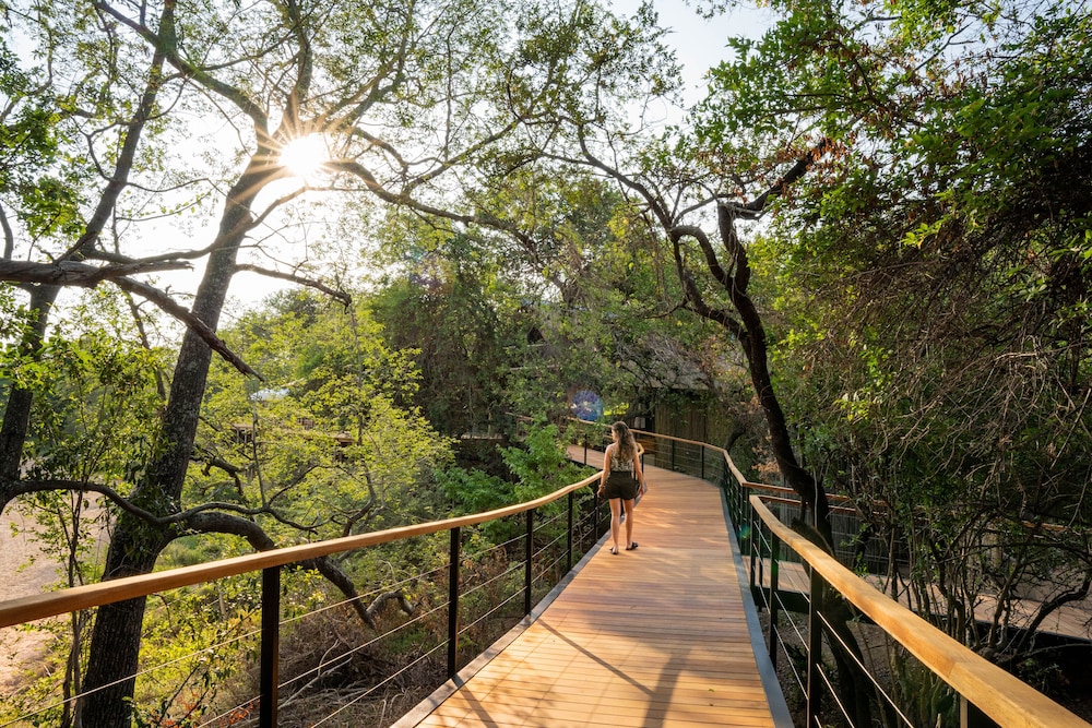 Thornybush Game Lodge 55/62