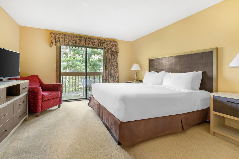 Basic, Suite, King and Twin Beds, Sofa