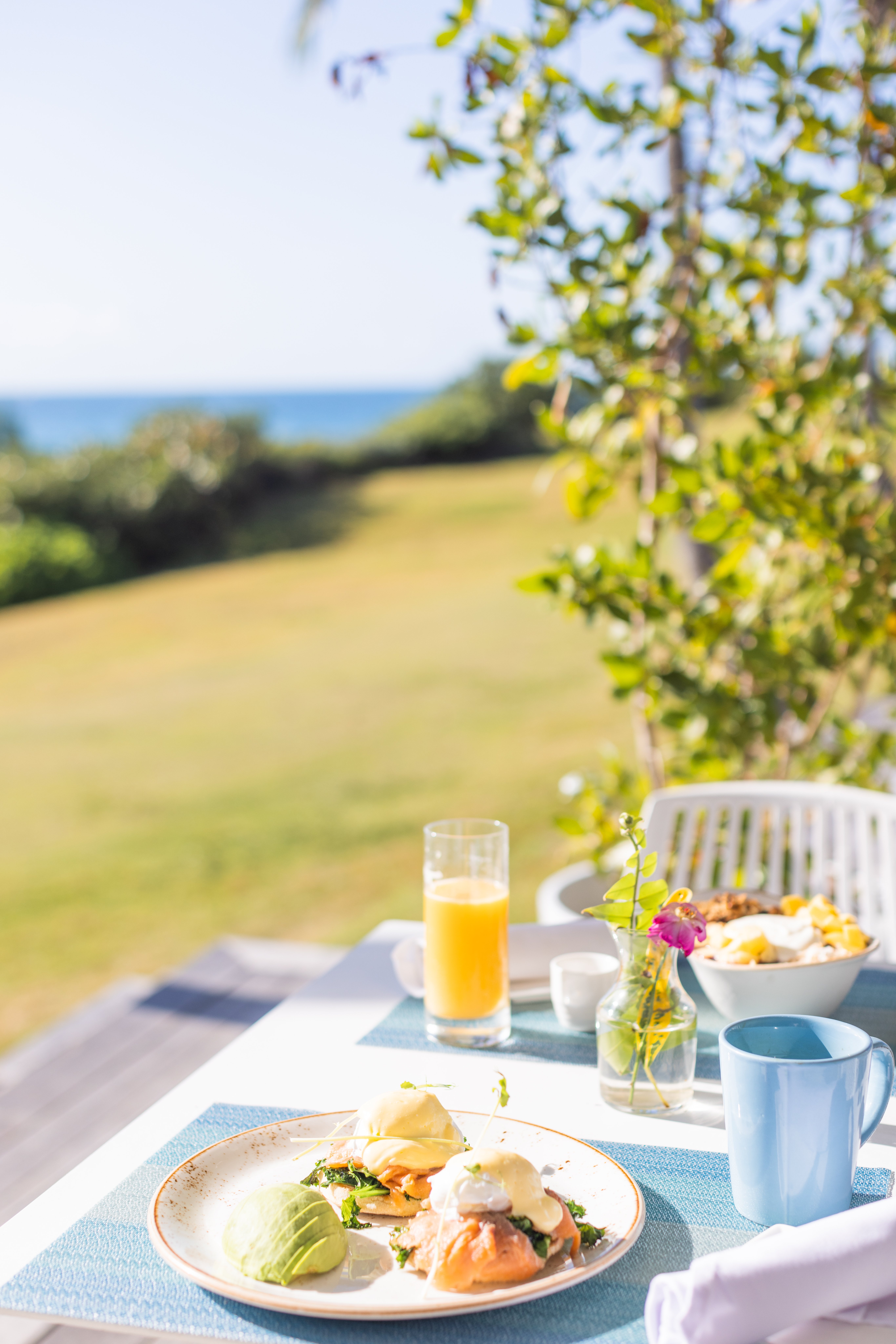 THE COVE ELEUTHERA 41/50