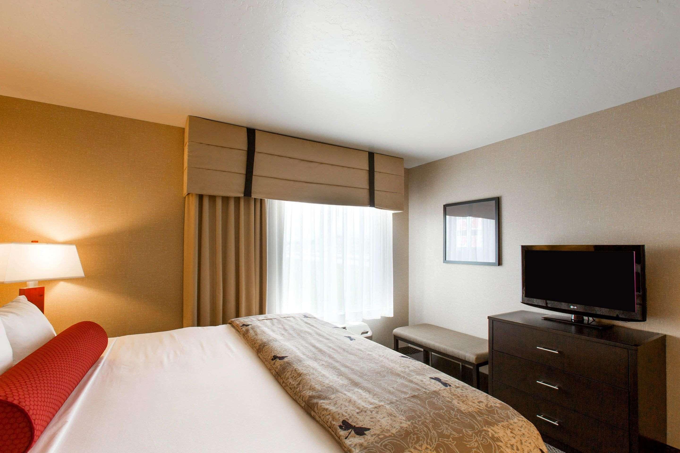 SUITE, KING BED