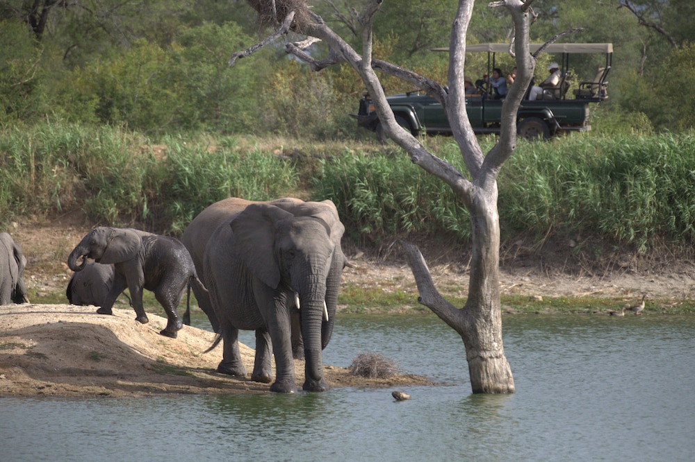 Becks Safari Lodge 76/77